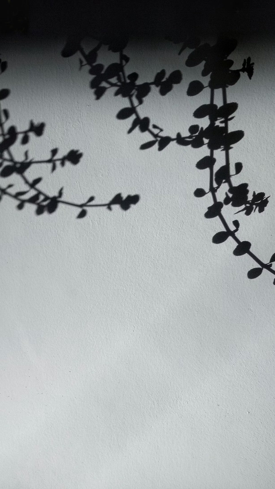 IORE ：イオレ公式オンラインショッピングサイト