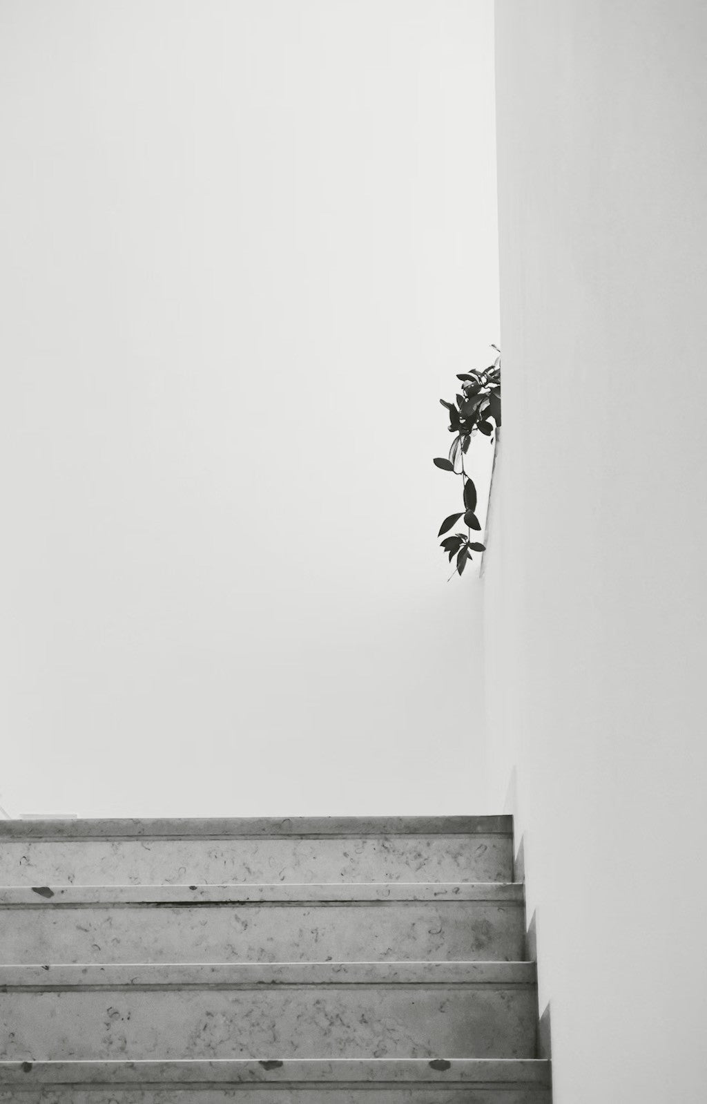 IORE ：イオレ公式オンラインショッピングサイト